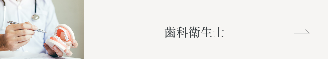 歯科衛生士