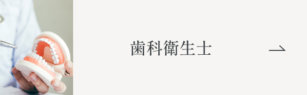 歯科衛生士
